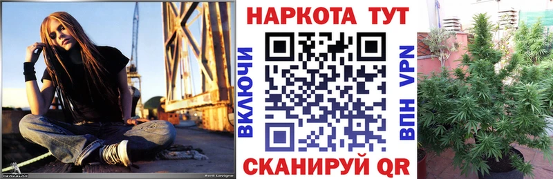 Как найти наркотики Черняховск АМФЕТАМИН  Метамфетамин  Мефедрон  МАРИХУАНА  COCAIN 