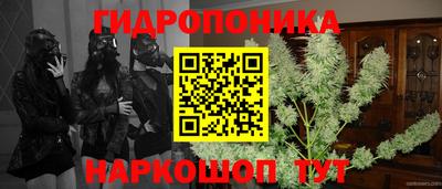 прущие крисы Северобайкальск
