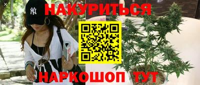 прущие крисы Северобайкальск
