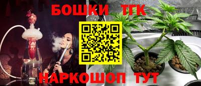 прущие крисы Северобайкальск