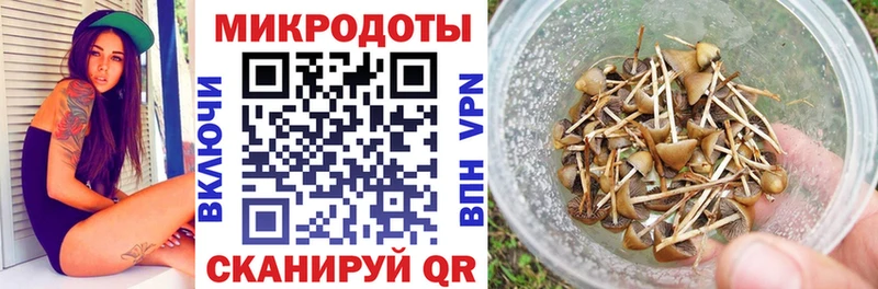 Псилоцибиновые грибы мухоморы  MEGA маркетплейс  Черняховск 