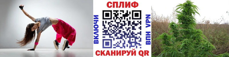 где продают наркотики  сайты даркнета наркотические препараты  Бошки марихуана конопля  Черняховск 